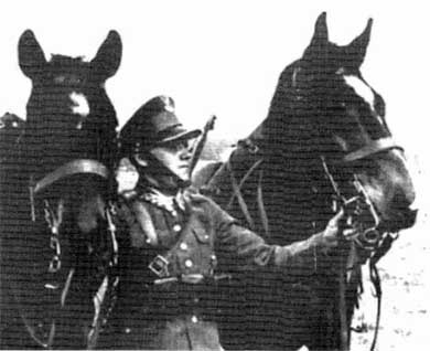 Польская армия. 1939-1945 Польская армия. 1939-1945