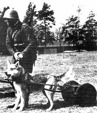 Польская армия. 1939-1945 Польская армия. 1939-1945