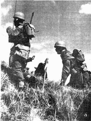 Польская армия. 1939-1945 Польская армия. 1939-1945
