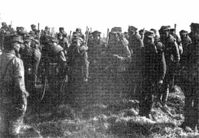 Польская армия. 1939-1945 Польская армия. 1939-1945