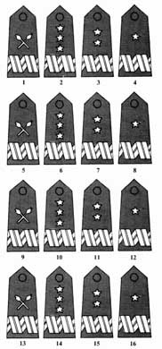 Польская армия. 1939-1945 Польская армия. 1939-1945
