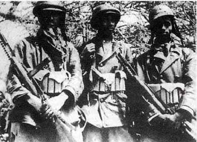 Итальянская армия. 1940 - 1943. Африканский театр военных действий Итальянская армия. 1940 - 1943. Африканский театр военных действий