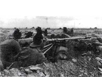 Итальянская армия. 1940 - 1943. Африканский театр военных действий Итальянская армия. 1940 - 1943. Африканский театр военных действий