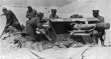 Итальянская армия. 1940 - 1943. Африканский театр военных действий Итальянская армия. 1940 - 1943. Африканский театр военных действий