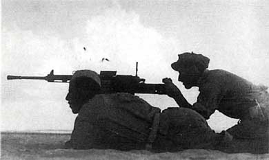 Итальянская армия. 1940 - 1943. Африканский театр военных действий Итальянская армия. 1940 - 1943. Африканский театр военных действий