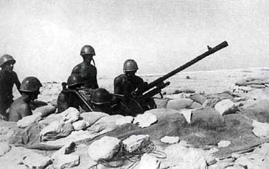 Итальянская армия. 1940 - 1943. Африканский театр военных действий Итальянская армия. 1940 - 1943. Африканский театр военных действий