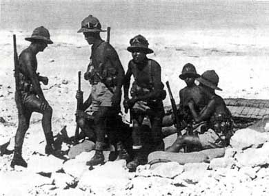 Итальянская армия. 1940 - 1943. Африканский театр военных действий Итальянская армия. 1940 - 1943. Африканский театр военных действий