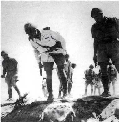 Итальянская армия. 1940 - 1943. Африканский театр военных действий Итальянская армия. 1940 - 1943. Африканский театр военных действий