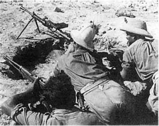 Итальянская армия. 1940 - 1943. Африканский театр военных действий Итальянская армия. 1940 - 1943. Африканский театр военных действий