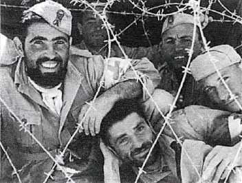 Итальянская армия. 1940 - 1943. Африканский театр военных действий Итальянская армия. 1940 - 1943. Африканский театр военных действий