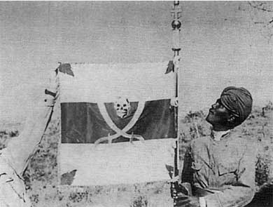 Итальянская армия. 1940 - 1943. Африканский театр военных действий Итальянская армия. 1940 - 1943. Африканский театр военных действий