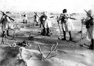 Японская армия. 1942-1945 Японская армия. 1942-1945