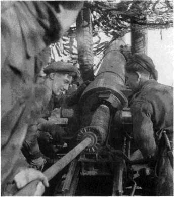 Британская армия. 1939-1945. Северо-Западная Европа Британская армия. 1939-1945. Северо-Западная Европа
