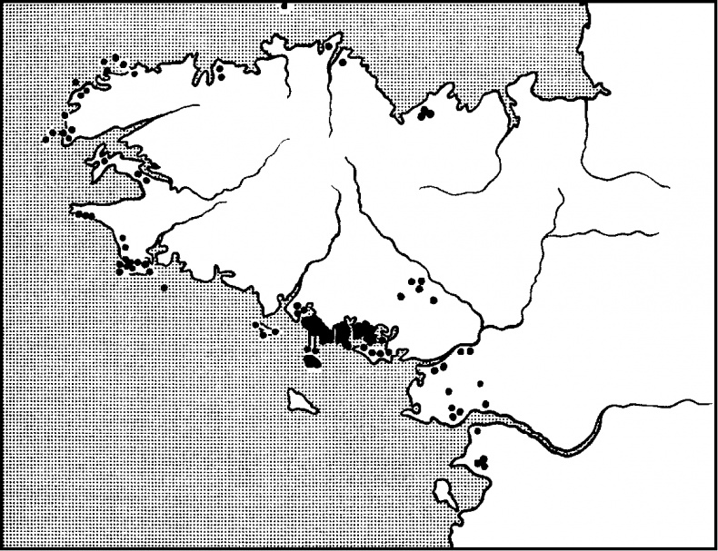 Бретонцы. Романтики моря Бретонцы. Романтики моря