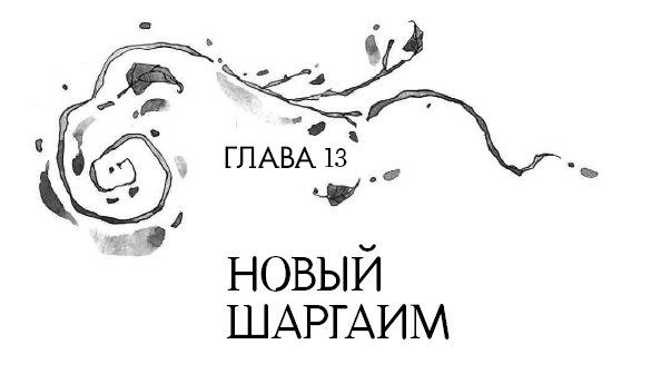 Книга огня Книга огня