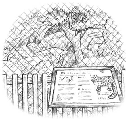 Рождественские истории. Девочка из лунного света Рождественские истории. Девочка из лунного света
