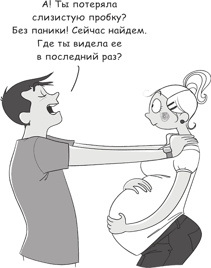 Легкая энциклопедия для будущих отцов Легкая энциклопедия для будущих отцов