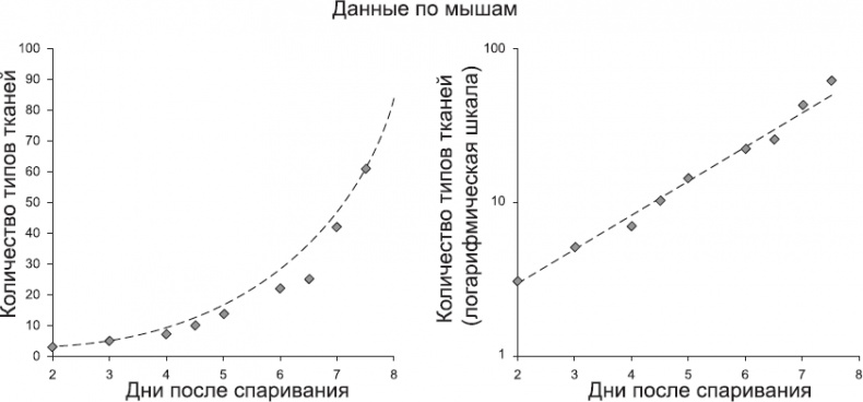 Онтогенез. От клетки до человека Онтогенез. От клетки до человека