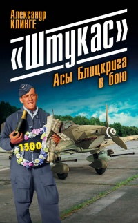 &quot;Штукас&quot;. Асы Блицкрига в бою - Александр Клинге - Читать книги онлайн | Слушать аудиокниги онлайн | Электронная библиотека books-lib.com
