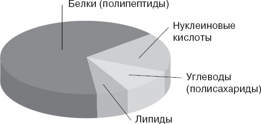 Анатомия на пальцах Анатомия на пальцах