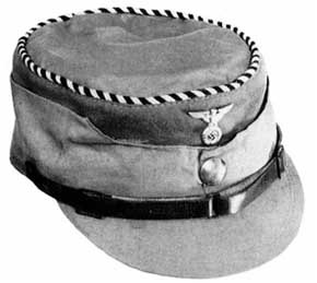 Штурмовые отряды (СА) Гитлера 1921-1945 Штурмовые отряды (СА) Гитлера 1921-1945