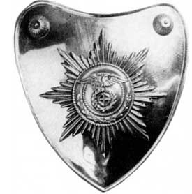 Штурмовые отряды (СА) Гитлера 1921-1945 Штурмовые отряды (СА) Гитлера 1921-1945
