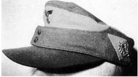 Штурмовые отряды (СА) Гитлера 1921-1945 Штурмовые отряды (СА) Гитлера 1921-1945