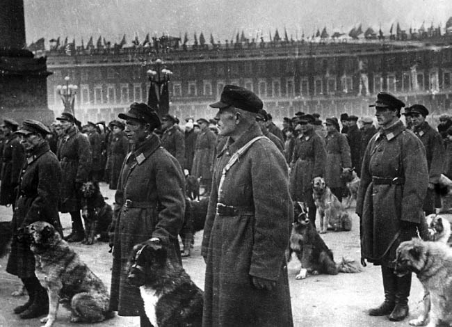 Уголовный розыск. Петроград - Ленинград - Петербург Уголовный розыск. Петроград - Ленинград - Петербург