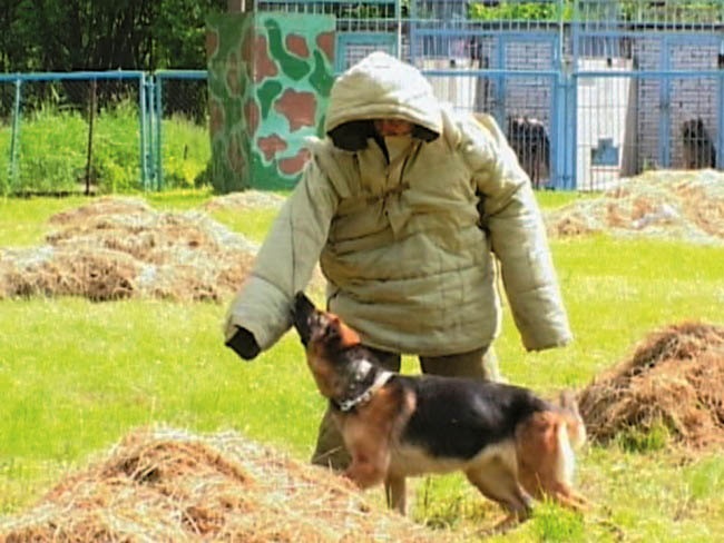 Уголовный розыск. Петроград - Ленинград - Петербург Уголовный розыск. Петроград - Ленинград - Петербург