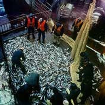 Погружение разрешаю Погружение разрешаю