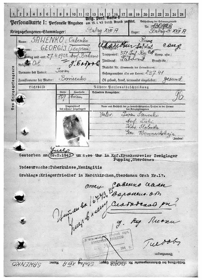 Седого графа сын побочный Седого графа сын побочный