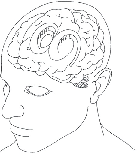 Мозг всемогущий. Путеводитель по самому незаменимому органу нашего тела Мозг всемогущий. Путеводитель по самому незаменимому органу нашего тела
