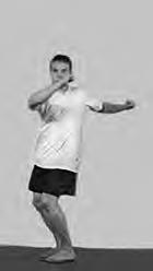 Физическая подготовка квалифицированных дзюдоистов к главному соревнованию года Физическая подготовка квалифицированных дзюдоистов к главному соревнованию года