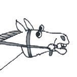 Школа верховой езды для начинающих Школа верховой езды для начинающих