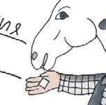 Школа верховой езды для начинающих Школа верховой езды для начинающих