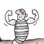 Школа верховой езды для начинающих Школа верховой езды для начинающих