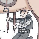 Школа верховой езды для начинающих Школа верховой езды для начинающих