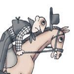 Школа верховой езды для начинающих Школа верховой езды для начинающих