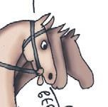 Школа верховой езды для начинающих Школа верховой езды для начинающих