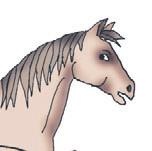 Школа верховой езды для начинающих Школа верховой езды для начинающих