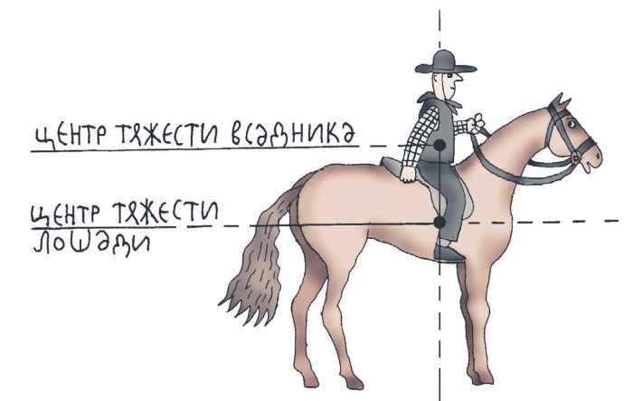 Школа верховой езды для начинающих Школа верховой езды для начинающих
