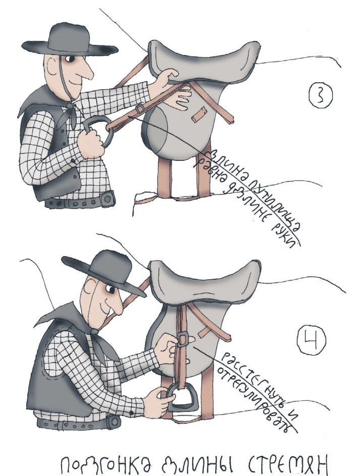 Школа верховой езды для начинающих Школа верховой езды для начинающих