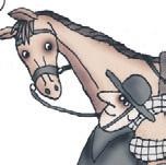 Школа верховой езды для начинающих Школа верховой езды для начинающих