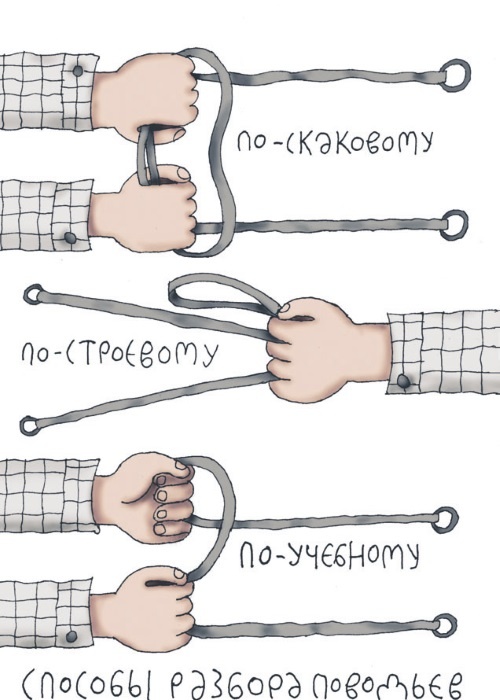 Школа верховой езды для начинающих Школа верховой езды для начинающих