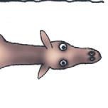 Школа верховой езды для начинающих Школа верховой езды для начинающих