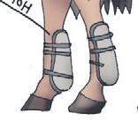 Школа верховой езды для начинающих Школа верховой езды для начинающих