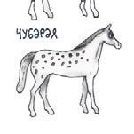 Школа верховой езды для начинающих Школа верховой езды для начинающих