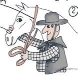 Школа верховой езды для начинающих Школа верховой езды для начинающих