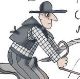 Школа верховой езды для начинающих Школа верховой езды для начинающих