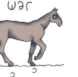 Школа верховой езды для начинающих Школа верховой езды для начинающих